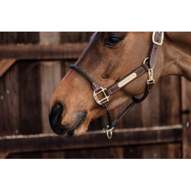 Cabezada Rope em couro Kentucky Cabezada Rope em couro Kentucky