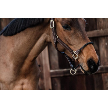 Cabezada Rope em couro Kentucky Cabezada Rope em couro Kentucky