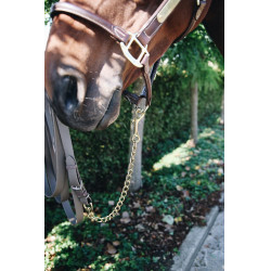 Corrente para cavalo Kentucky Corrente para cavalo Kentucky