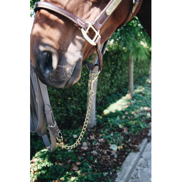 Corrente para cavalo Kentucky Corrente para cavalo Kentucky