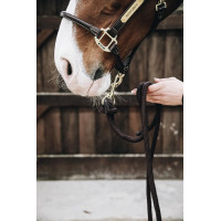 Longe Loop Básico Kentucky Castanho