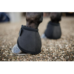 Sino protetor de glomos Kentucky Preto