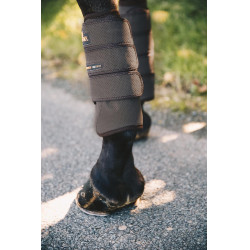 Guetre Air Tech Eventing anteriores Kentucky Castanho