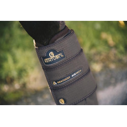 Guetre Air Tech Eventing anteriores Kentucky Castanho