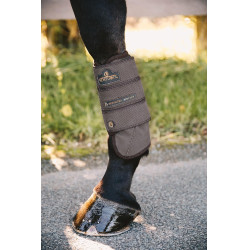 Guetre Air Tech Eventing anteriores Kentucky Castanho