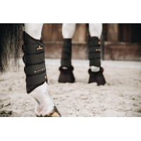 Guetre Air Tech Eventing posteriores Kentucky Preto