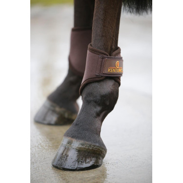 Guizeiras fechadas 3D Spacer posteriores curtas Kentucky Castanho Guizeiras fechadas 3D Spacer posteriores curtas Kentucky Castanho