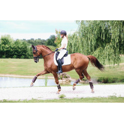 Guéretas fechadas de couro anteriores Kentucky Castanho