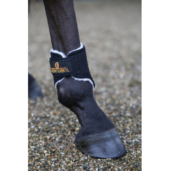 Guêtres fechadas Solimbra posteriores curtas Kentucky Preto