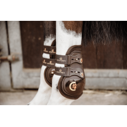 Protetor de boleto Moonboots Max elásticos Kentucky Castanho