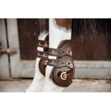 Protetor de boleto Moonboots Max elásticos Kentucky Castanho