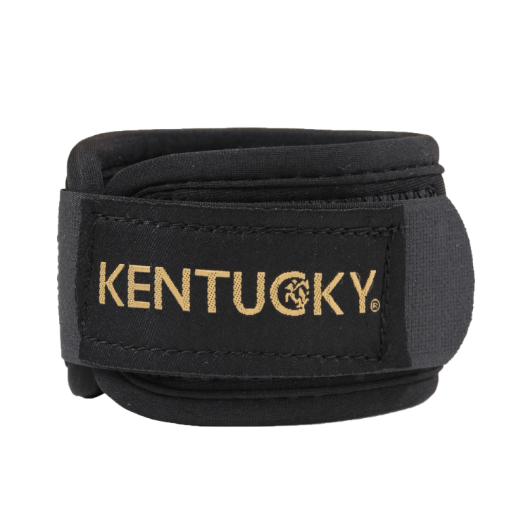 Protetor de boleto Kentucky Protetor de boleto Kentucky
