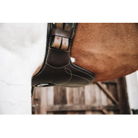 Peitoral curto Kentucky Castanho