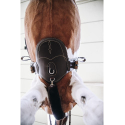 Peitoral curto Kentucky Castanho