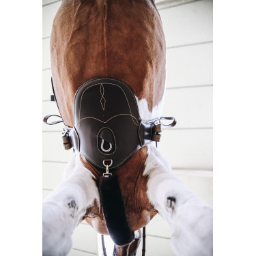 Peitoral curto Kentucky Peitoral curto Kentucky