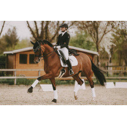 Cinta para carneiro curta Kentucky Preto