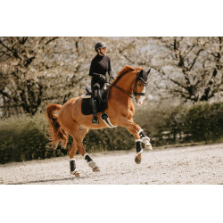 Cinta para carneiro curta Kentucky Preto