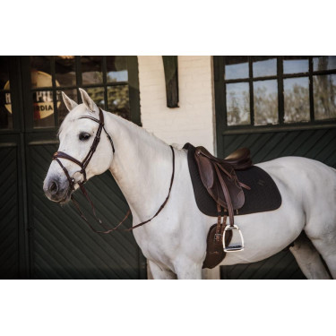 Suadouro Fishbone dressage Kentucky Suadouro Fishbone dressage Kentucky
