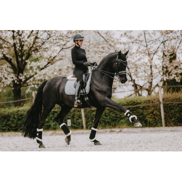 Sela de adestramento Pied-de-poule Kentucky Preto Sela de adestramento Pied-de-poule Kentucky Preto