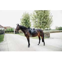 Sela debaixo Skin Friendly Star Quilting dressage Kentucky Preto