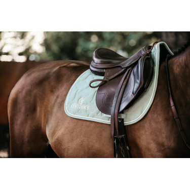 Sela de salto Color Edition Leather Kentucky Hortelã Verde