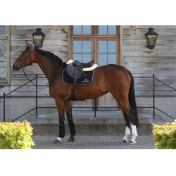 Sela de salto Kentucky Sela de salto Kentucky