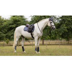 Tapete LeMieux Suede GP Square Gaio-azul