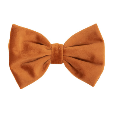 Laço de Veludo Kentucky Laranja