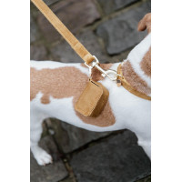 Saco para dejetos Carré Velvet Kentucky Preto