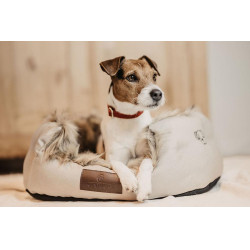 Coleira para cão Corduroy Kentucky
