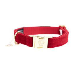 Coleira para cão Corduroy Kentucky Vermelho