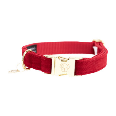 Coleira para cão Corduroy Kentucky Vermelho