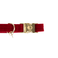 Coleira para cão Corduroy Kentucky Bordéus Bord&amp;ocirc;