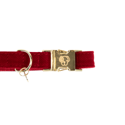 Coleira para cão Corduroy Kentucky Vermelho Coleira para cão Corduroy Kentucky Vermelho