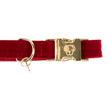 Coleira para cão Corduroy Kentucky Vermelho