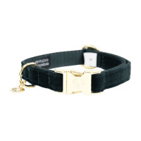 Coleira para cão Corduroy Kentucky Bordéus Bord&amp;amp;amp;amp;amp;ocirc;