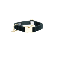 Coleira para cão Corduroy Kentucky Bordéus Bord&amp;ocirc;