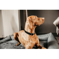 Coleira para cão Corduroy Kentucky Preto