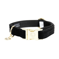 Coleira para cão Corduroy Kentucky Bordéus Bord&amp;amp;amp;amp;amp;ocirc;