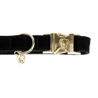 Coleira para cão Corduroy Kentucky Bordéus Bord&amp;amp;amp;amp;amp;ocirc;