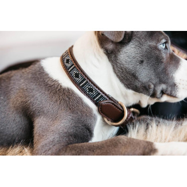 Colar para cão em pérolas feitas à mão Kentucky Colar para cão em pérolas feitas à mão Kentucky