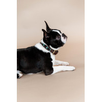 Colar para cão em pérolas feitas à mão Kentucky Preto