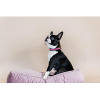 Colar para cão em pérolas feitas à mão Kentucky Rosa