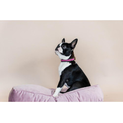 Colar para cão em pérolas feitas à mão Kentucky Rosa Colar para cão em pérolas feitas à mão Kentucky Rosa
