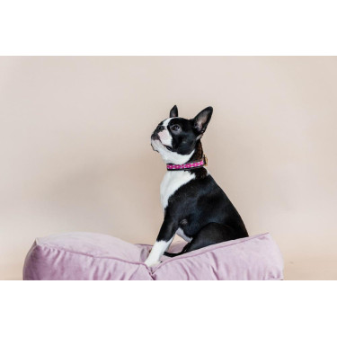 Colar para cão em pérolas feitas à mão Kentucky Rosa Colar para cão em pérolas feitas à mão Kentucky Rosa