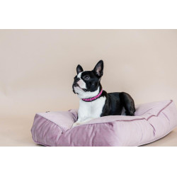 Colar para cão em pérolas feitas à mão Kentucky Rosa Colar para cão em pérolas feitas à mão Kentucky Rosa