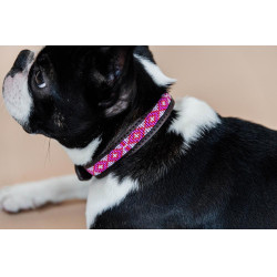 Colar para cão em pérolas feitas à mão Kentucky Rosa Colar para cão em pérolas feitas à mão Kentucky Rosa