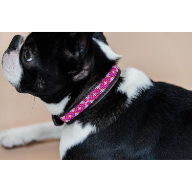 Colar para cão em pérolas feitas à mão Kentucky Rosa Colar para cão em pérolas feitas à mão Kentucky Rosa