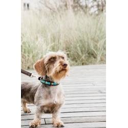 Colar para cão em pérolas feitas à mão Kentucky Azul claro Colar para cão em pérolas feitas à mão Kentucky Azul claro