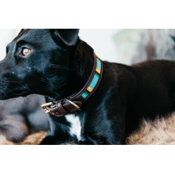 Colar para cão em pérolas feitas à mão Kentucky Azul claro Colar para cão em pérolas feitas à mão Kentucky Azul claro